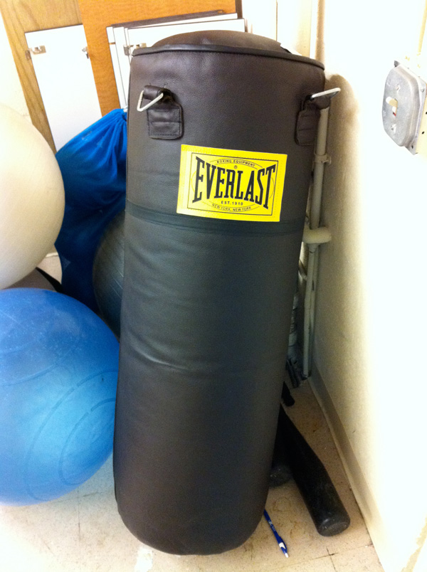 Buy & Sell Used Sports Equipment - Everlast Leather Boxing Bag - Swap Me Sports